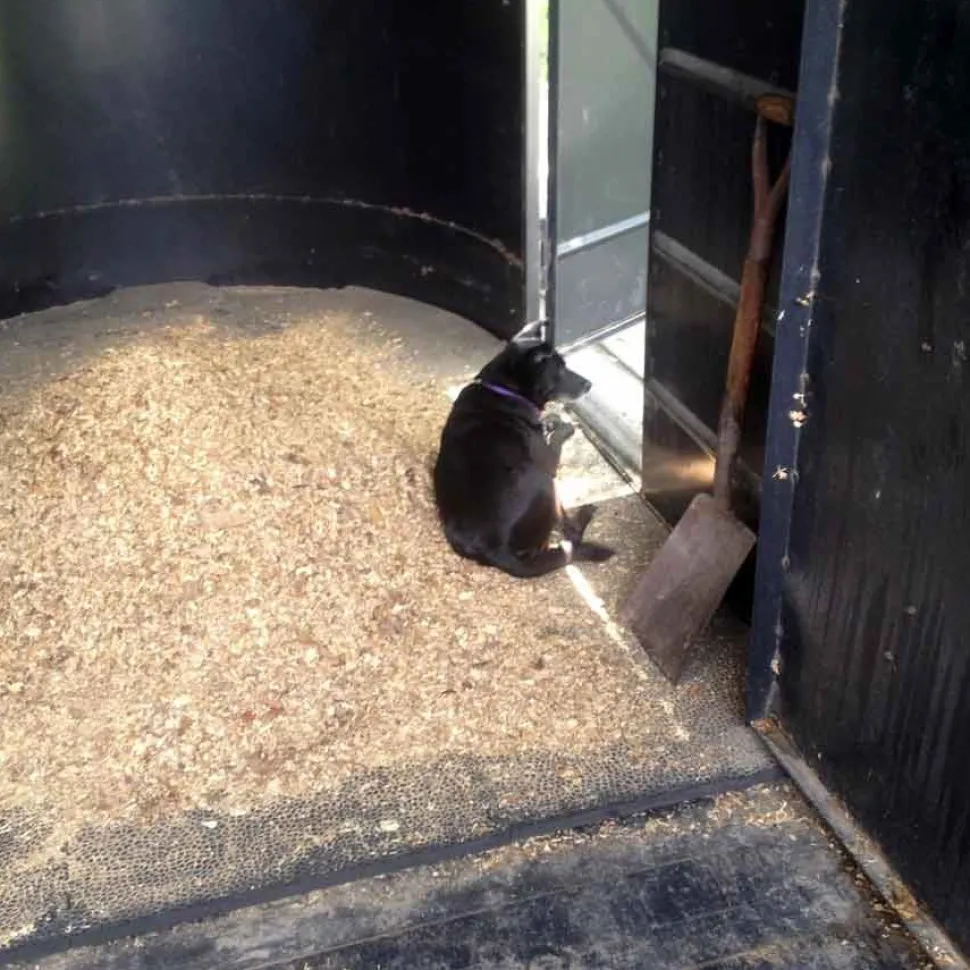 Portable Foam Horse Stall Mats 3/4 Inch x 2x2 Ft.