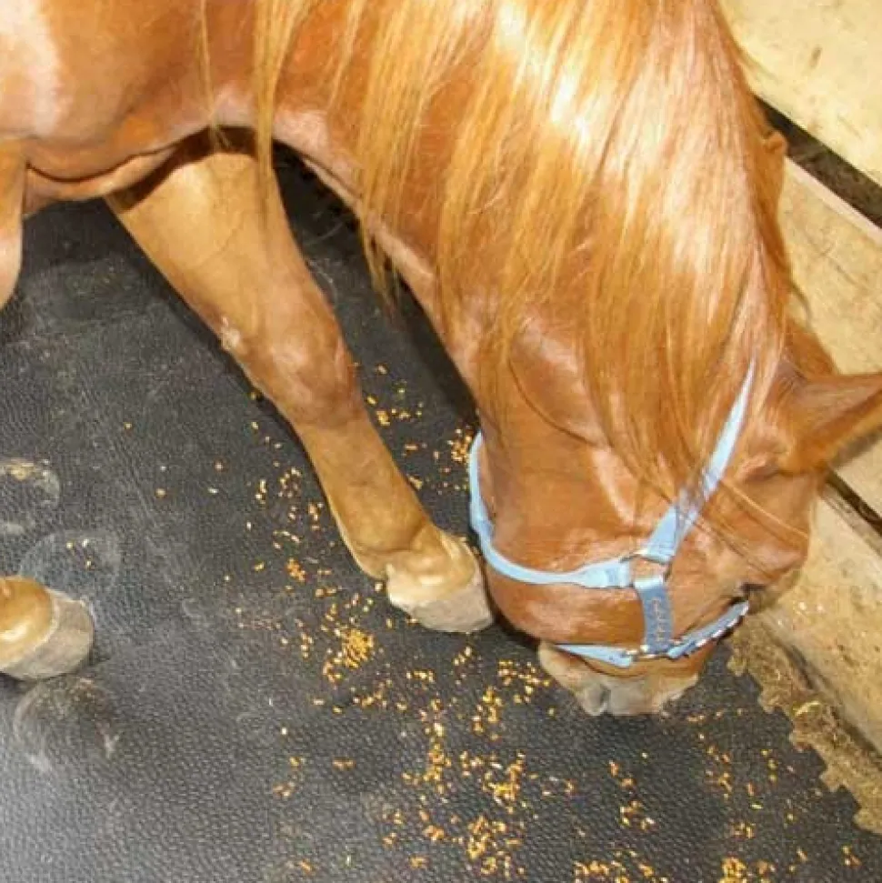 Portable Foam Horse Stall Mats 3/4 Inch x 2x2 Ft.