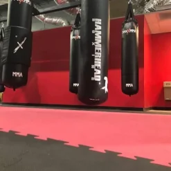 Pro Taekwondo Martial Arts Mats 20 mm x 1x1 Meter