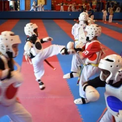 Pro Taekwondo Martial Arts Mats 20 mm x 1x1 Meter