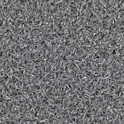 RageTurf Rally Roll 24 mm x 6x25 Ft.