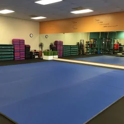 Roll Out Wrestling MMA Mats 5x10 Ft