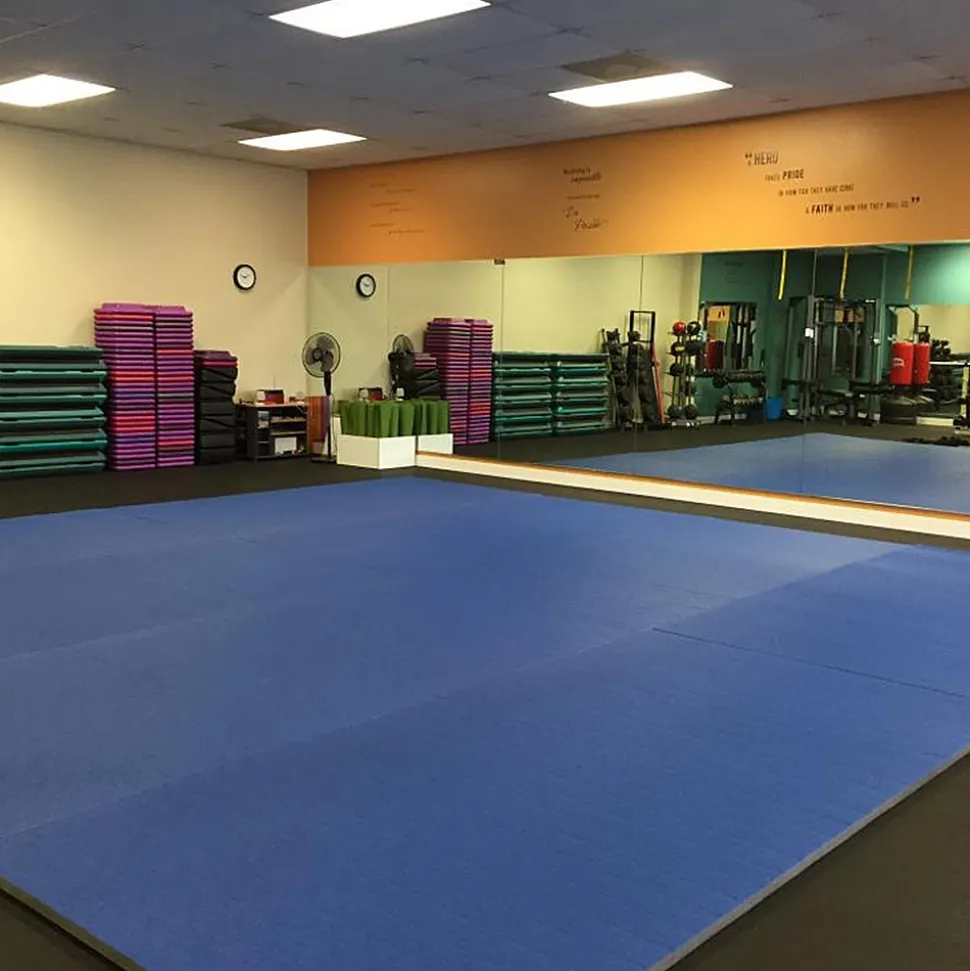 Roll Out Wrestling MMA Mats 5x10 Ft