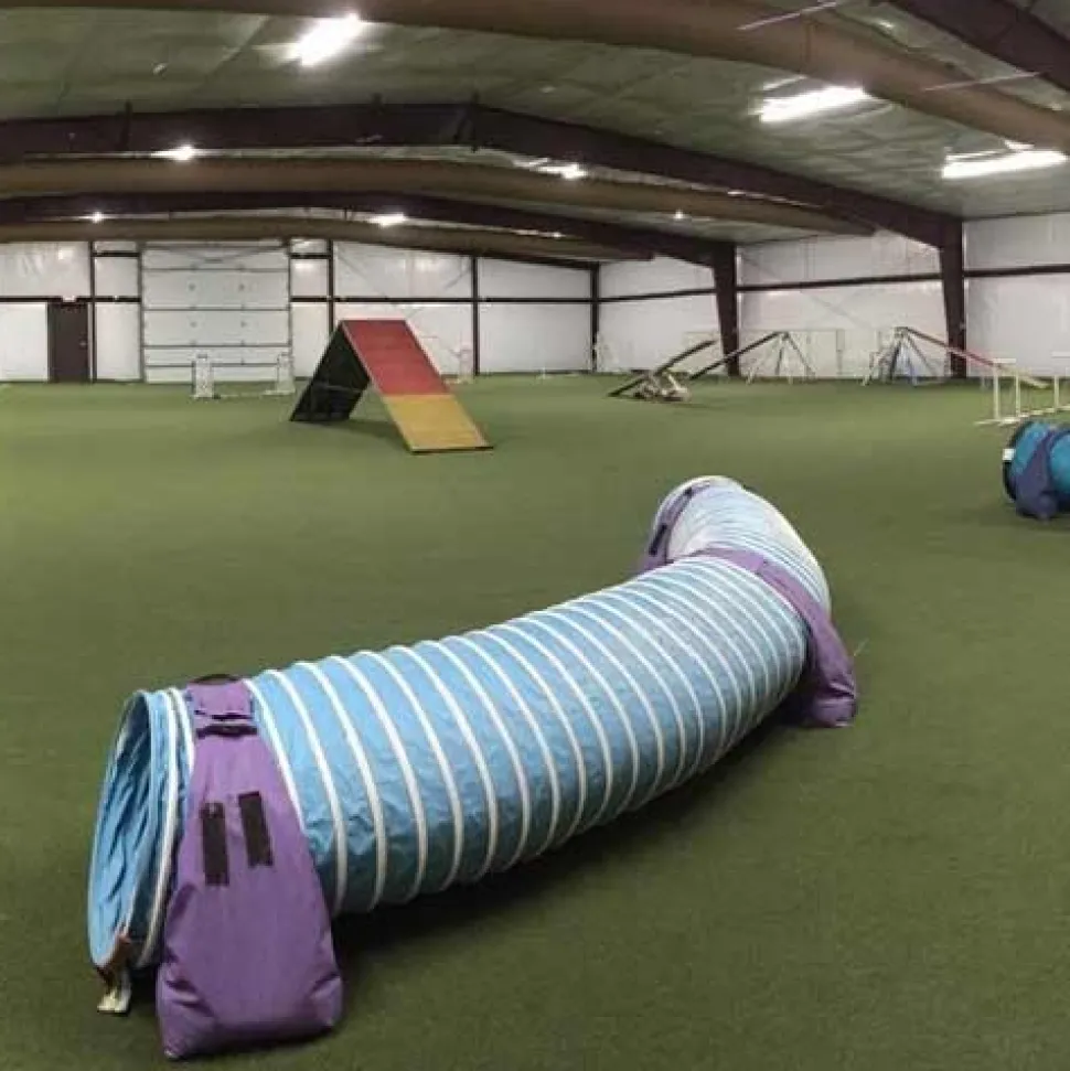 True Turf Artificial Grass Turf Roll 9/16 Inch x 15 Ft. Wide 5 mm Padded Per SF
