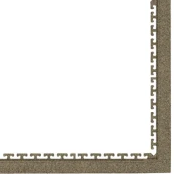 Waterhog Carpet Tile 18x18 Inch Case of 10